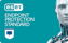 Εικόνα της ESET Endpoint Protection Standard